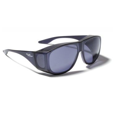 SS1DM29003A